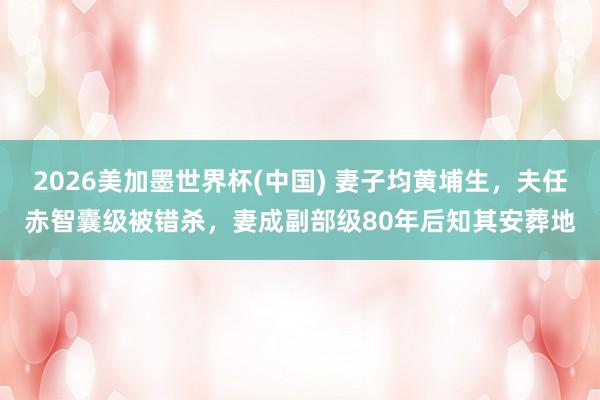 2026美加墨世界杯(中國) 妻子均黃埔生,夫任赤智囊級被錯殺,妻成副部級80年后知其安葬地
