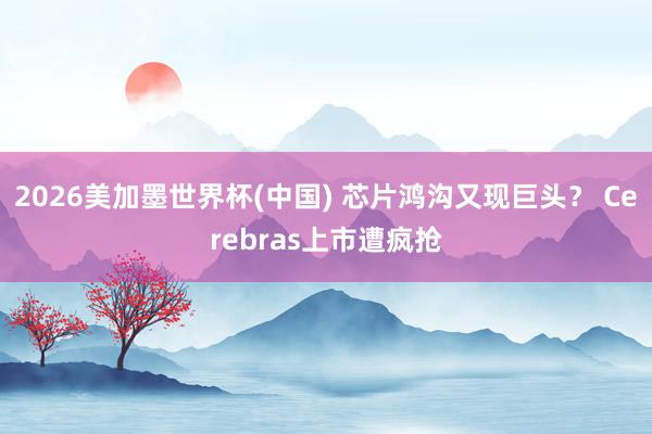 2026美加墨世界杯(中國) 芯片鴻溝又現(xiàn)巨頭? Cerebras上市遭瘋搶