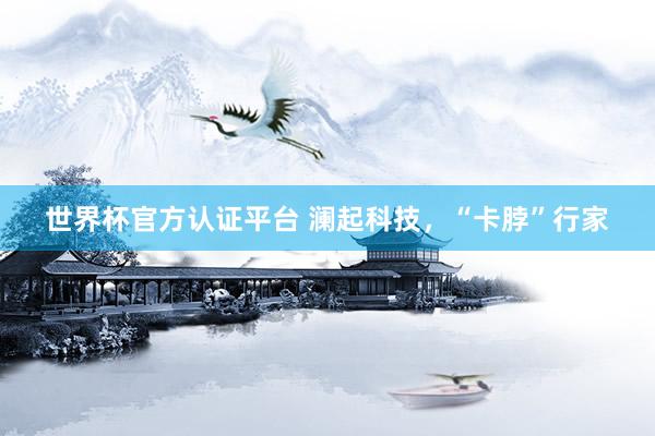 世界杯官方認證平臺 瀾起科技，“卡脖”行家