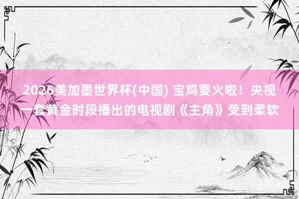 2026美加墨世界杯(中國) 寶雞要火啦！央視一套黃金時段播出的電視劇《主角》受到柔軟