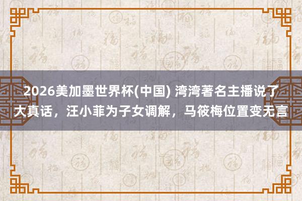 2026美加墨世界杯(中國(guó)) 灣灣著名主播說了大真話，汪小菲為子女調(diào)解，馬筱梅位置變無言