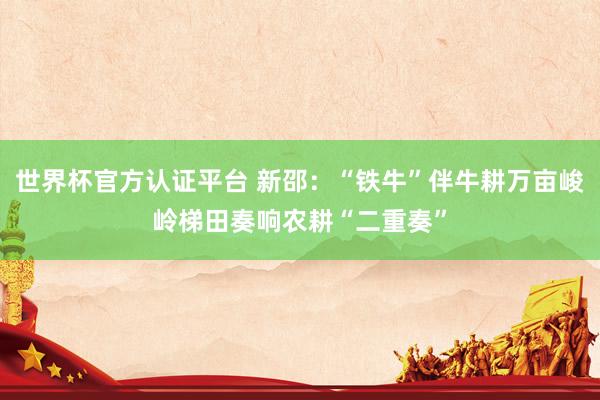 世界杯官方認(rèn)證平臺(tái) 新邵：“鐵?！卑榕８f(wàn)畝峻嶺梯田奏響農(nóng)耕“二重奏”