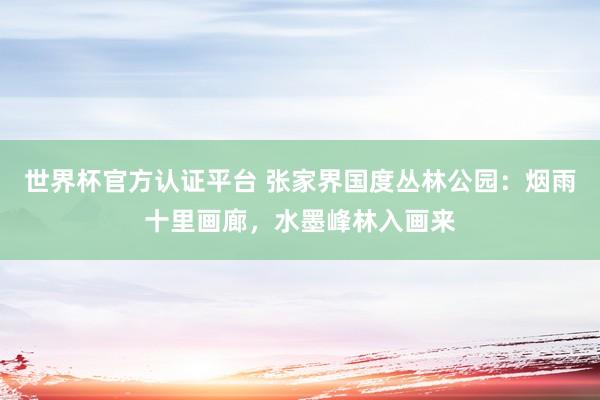 世界杯官方認證平臺 張家界國度叢林公園：煙雨十里畫廊，水墨峰林入畫來