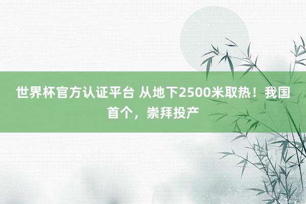 世界杯官方認證平臺 從地下2500米取熱！我國首個，崇拜投產