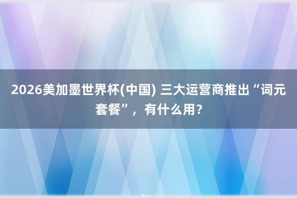 2026美加墨世界杯(中國(guó)) 三大運(yùn)營(yíng)商推出“詞元套餐”，有什么用？