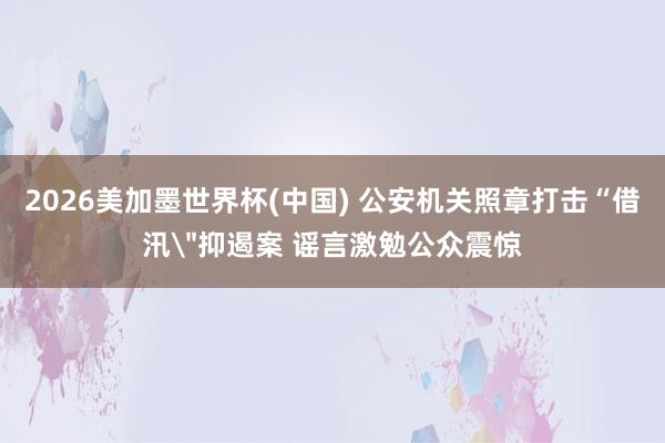 2026美加墨世界杯(中國) 公安機關(guān)照章打擊“借汛