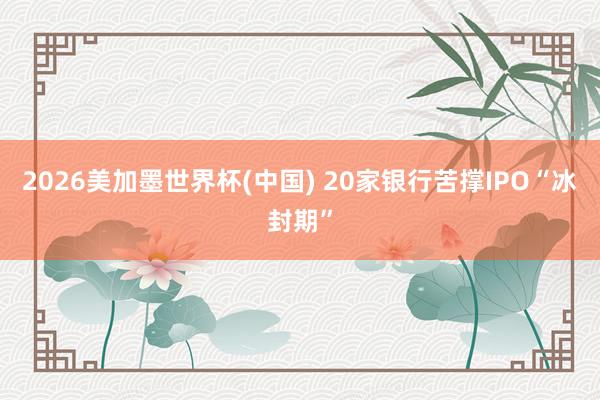 2026美加墨世界杯(中國) 20家銀行苦撐IPO“冰封期”