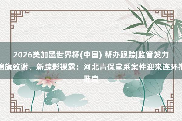 2026美加墨世界杯(中國) 幫辦跟蹤|監管發力、錦旗致謝、新蹤影裸露：河北青保堂系案件迎來連環推崇