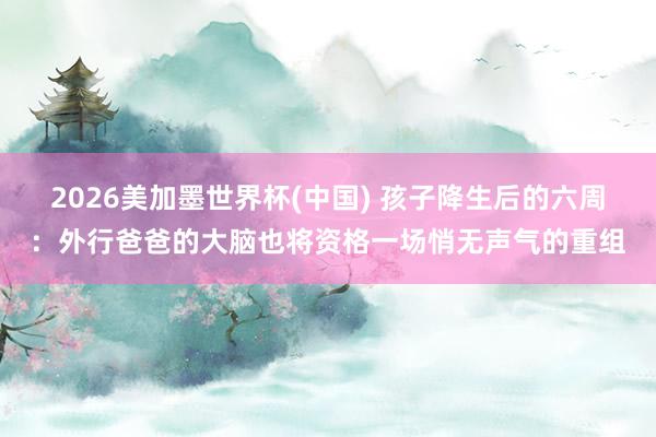 2026美加墨世界杯(中國) 孩子降生后的六周：外行爸爸的大腦也將資格一場悄無聲氣的重組