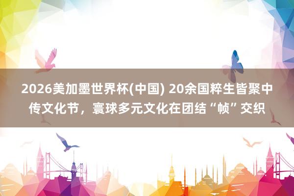 2026美加墨世界杯(中國) 20余國粹生皆聚中傳文化節(jié)，寰球多元文化在團結(jié)“幀”交織