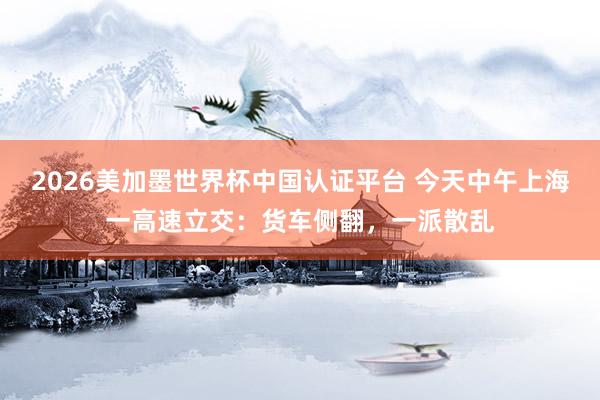 2026美加墨世界杯中國認(rèn)證平臺 今天中午上海一高速立交:貨車側(cè)翻,一派散亂