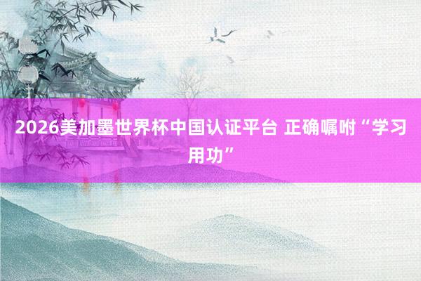 2026美加墨世界杯中國認證平臺 正確囑咐“學(xué)習(xí)用功”