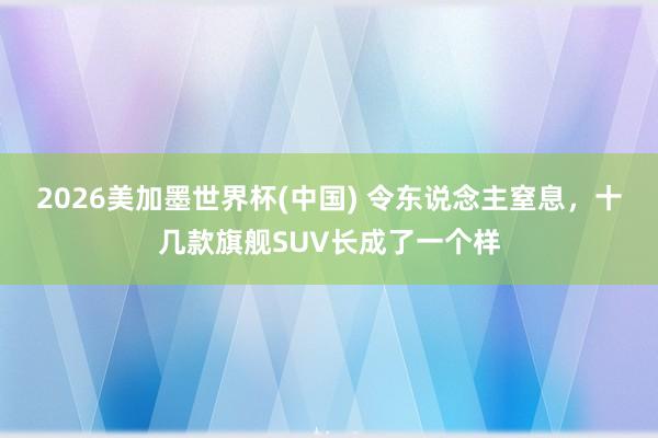 2026美加墨世界杯(中國(guó)) 令東說(shuō)念主窒息,十幾款旗艦SUV長(zhǎng)成了一個(gè)樣